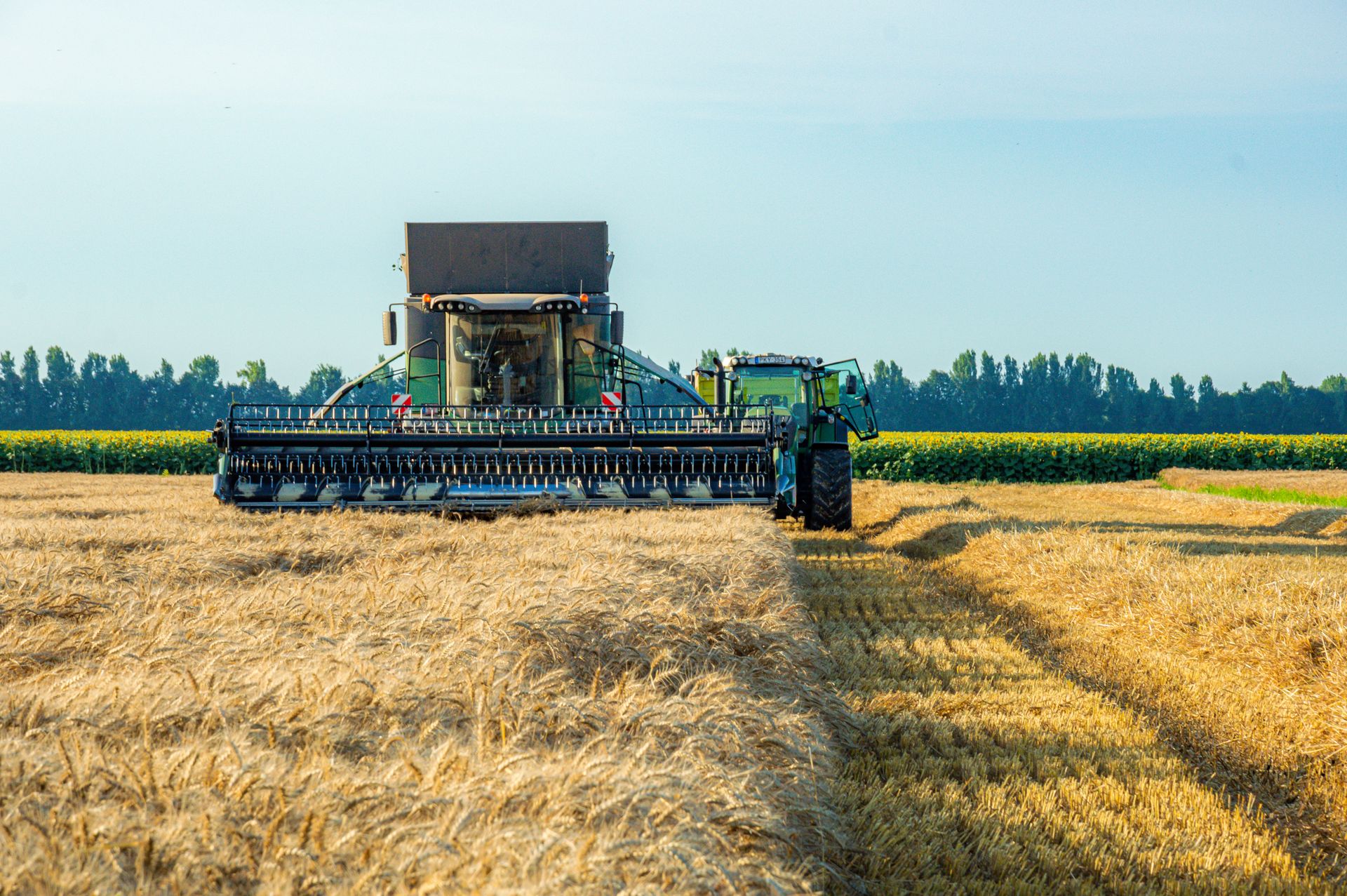 Agriculture